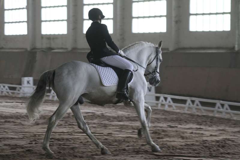 Segunda Fase de la Liga de Doma Clásica